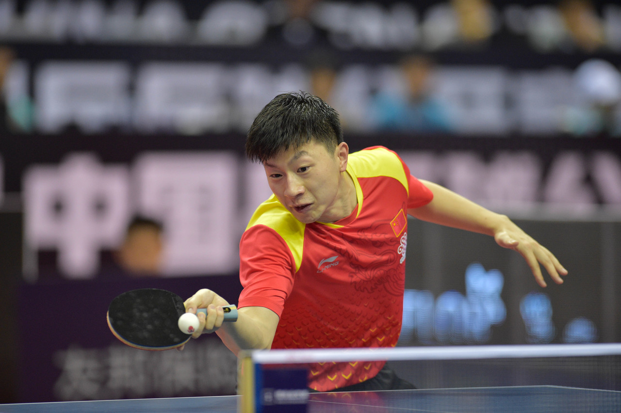 报道的内容 报道的内容