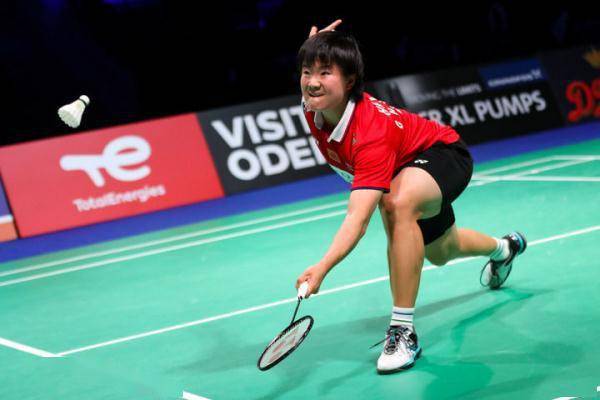 的双重期望 的双重期望