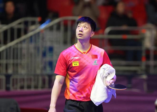 他们展现出 他们展现出