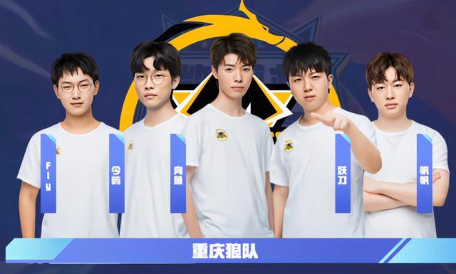 压力包夹 压力包夹