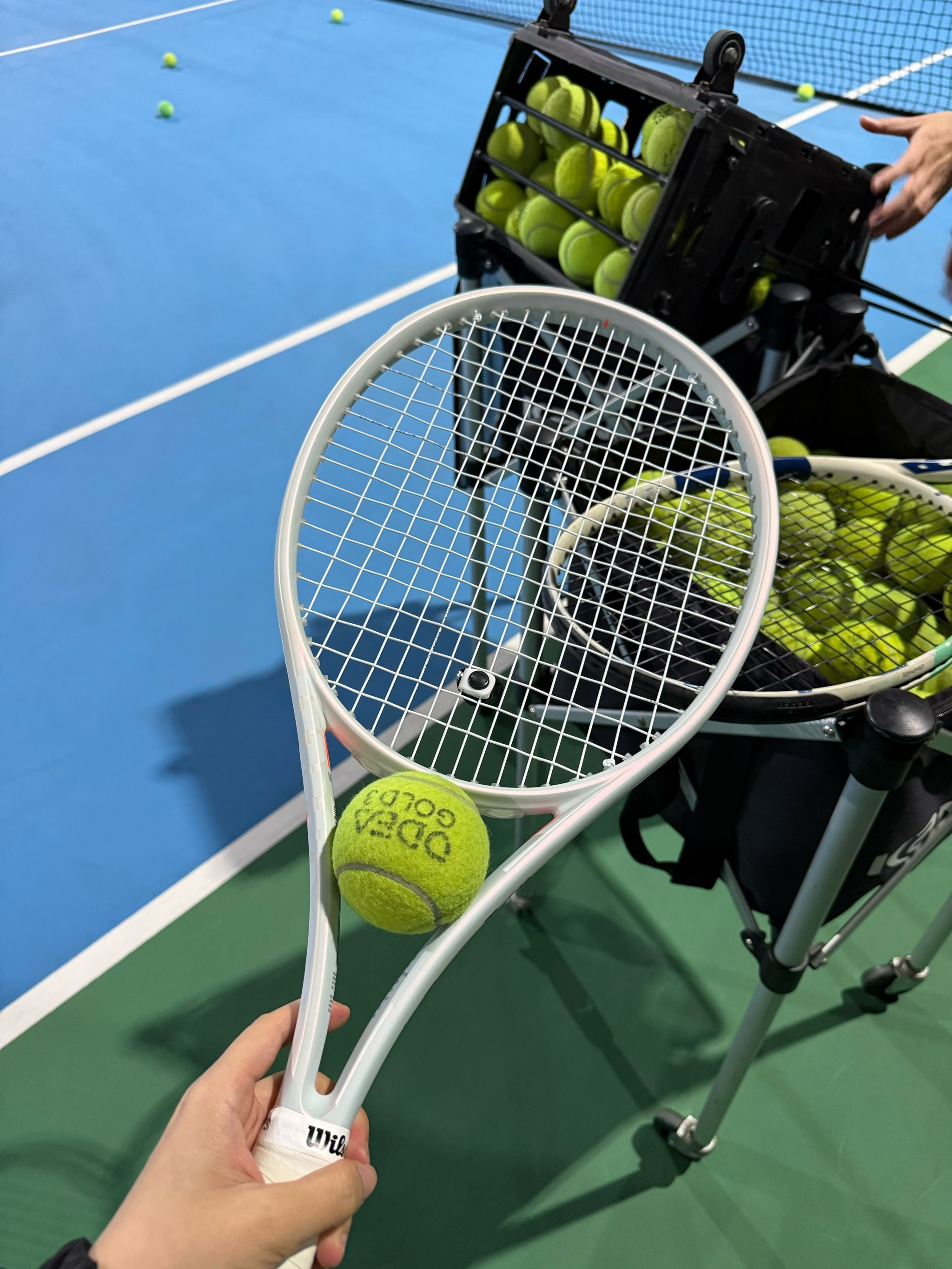 更是对未来 更是对未来