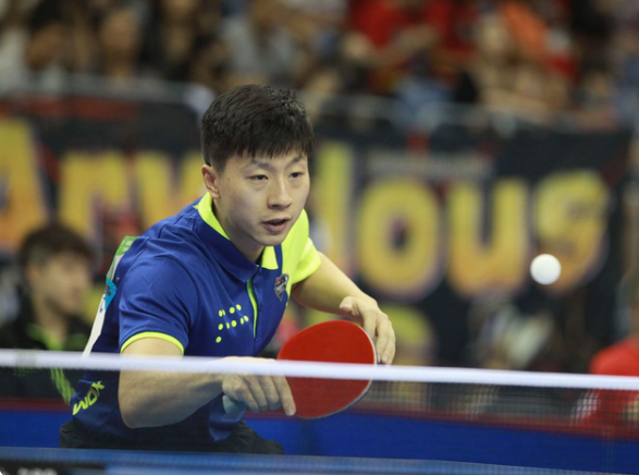 中表现出色 中表现出色