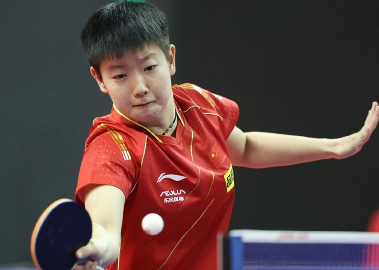 是实力与智 是实力与智